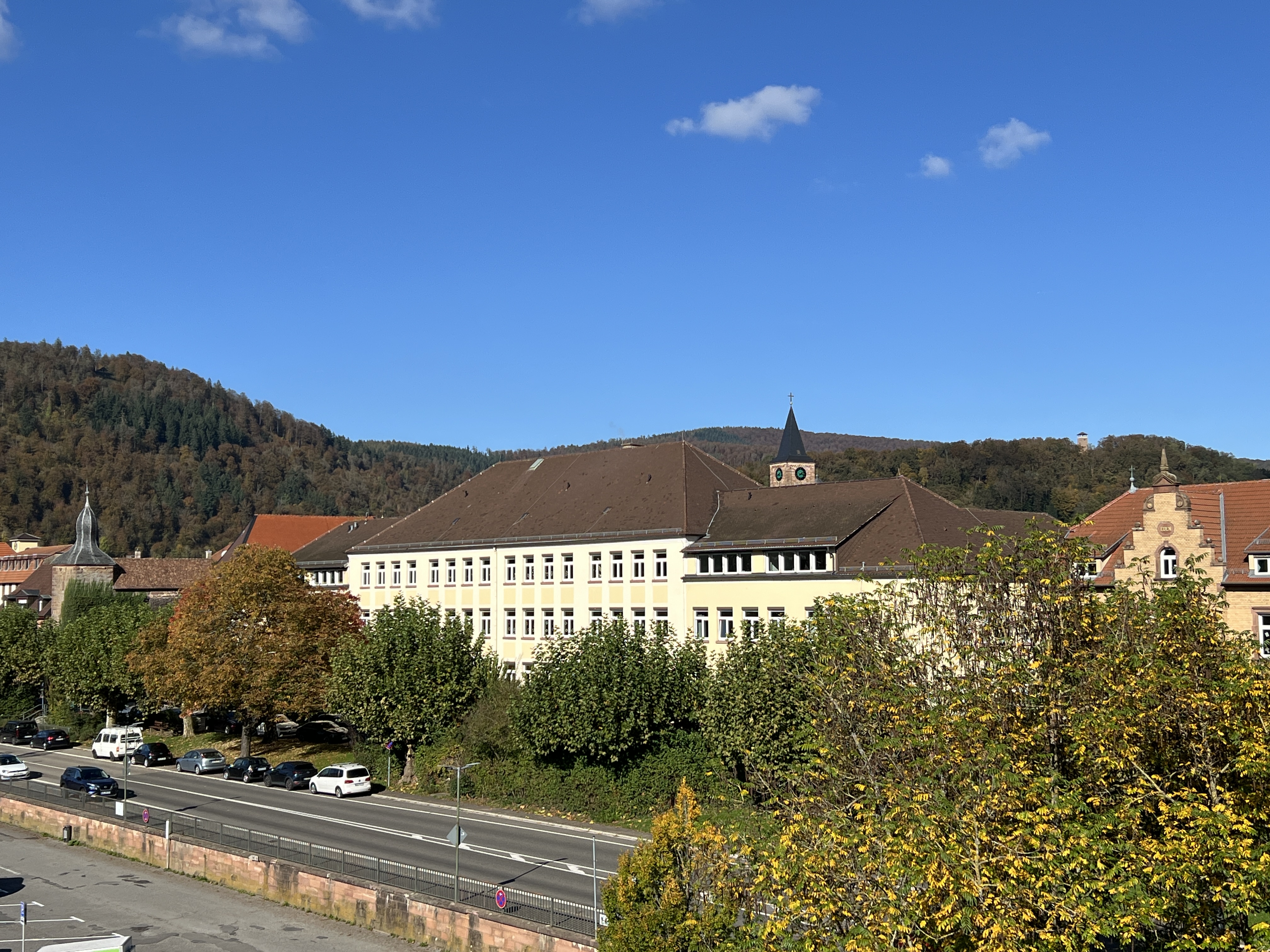 Schulgebäude Blick auf das Schulgebäude von der Neckarbrücke aus